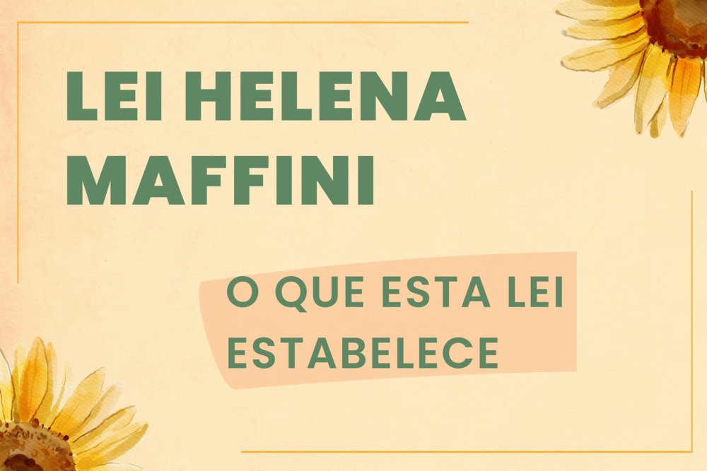 O que estabelece a lei Helena Maffini?