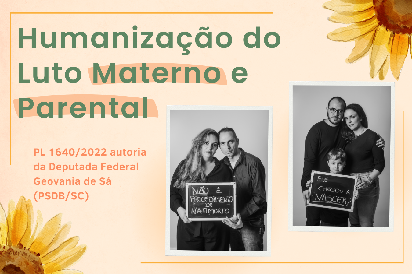 Mais que uma lei, construímos um caminho