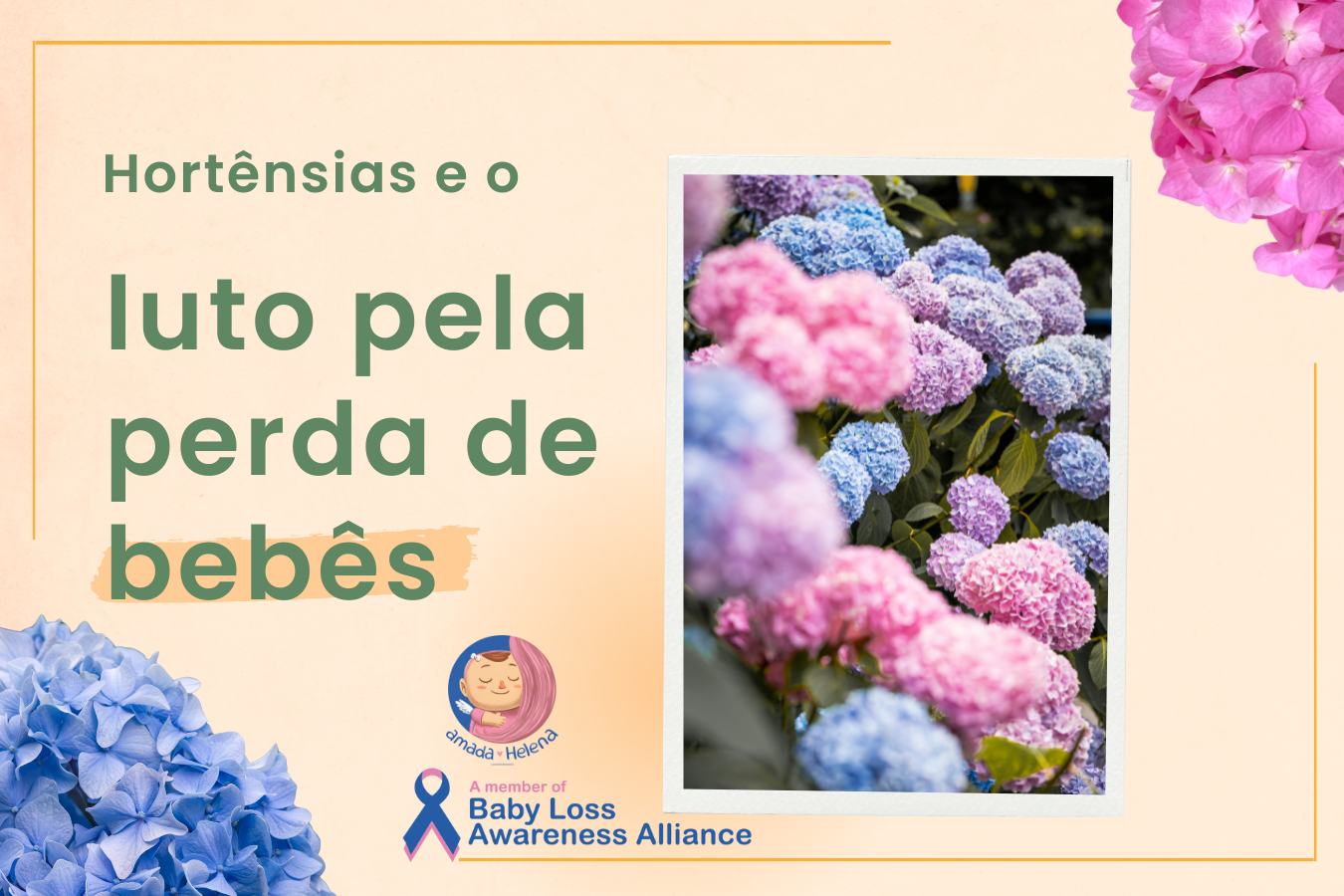 A flor símbolo do luto pela perda de bebê